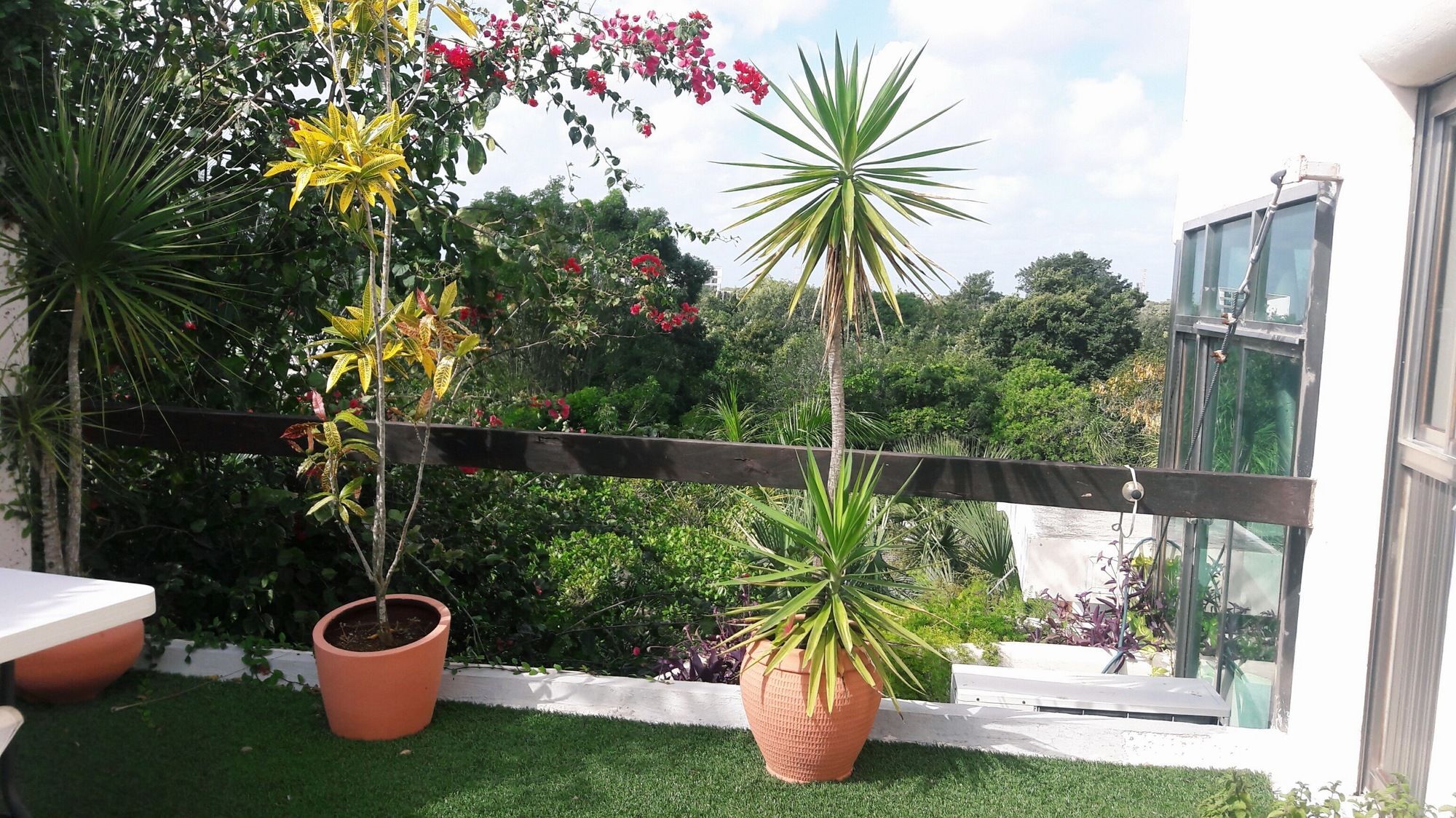 Casa La Selva Hotel Cancun